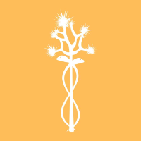 Alliance Desert Physicians